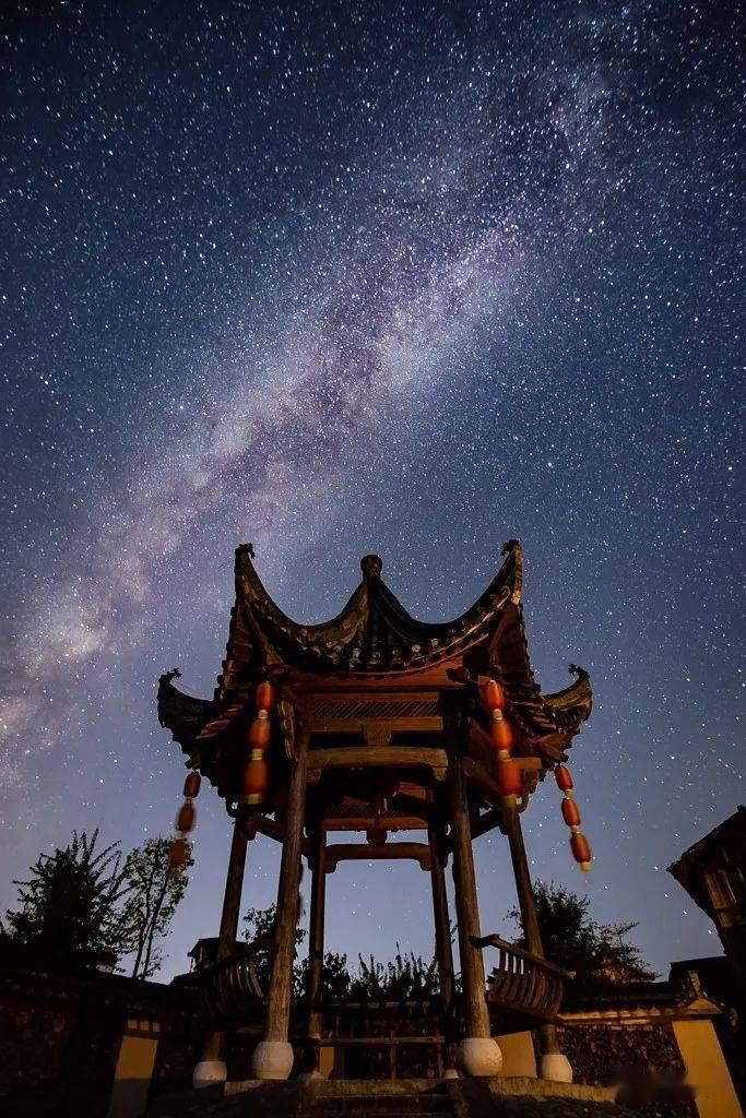 小猫钓鱼游戏龙王版有船